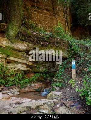 Fonte font del Llor, vicino al Marquet de les Roques nella valle dell'Horta, a Sant Llorenç Savall (Vallès Occidental, Barcellona, Catalogna, Spagna) Foto Stock