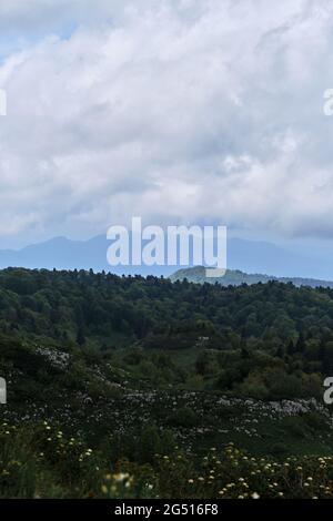 Natura e paesaggio del Parco nazionale del Caucaso. Fitta foresta verde estiva di conifere e sagome di montani all'orizzonte in foschia. Montagne, fie Foto Stock