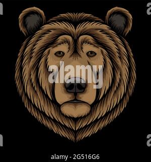 Illustrazione del vettore della testa dell'orso Illustrazione Vettoriale