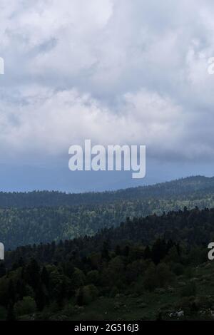 Natura e paesaggio del Parco nazionale del Caucaso. Fitta foresta verde estiva di conifere e sagome di montani all'orizzonte in foschia. Montagne, fie Foto Stock