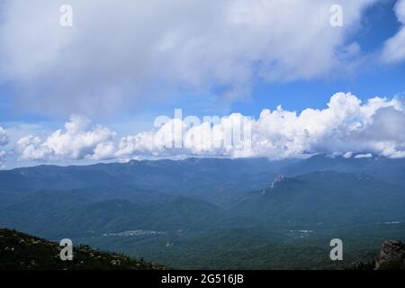 Natura e paesaggio del Parco nazionale del Caucaso. Fitta foresta verde estiva di conifere e sagome di montani all'orizzonte in foschia. Montagne, fie Foto Stock
