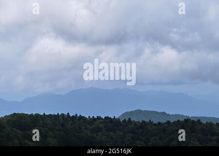Natura e paesaggio del Parco nazionale del Caucaso. Fitta foresta verde estiva di conifere e sagome di montani all'orizzonte in foschia. Montagne, fie Foto Stock