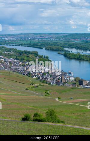 Città e vigneti visti dal Niederwald Memorial, Rüdesheim, famoso villaggio del vino in Rheingau paesaggio sul fiume Reno, Assia, Germania, Europa Foto Stock