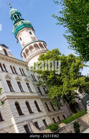 Firewatch torre (Tuztorony) visto da ex fossato, Sopron, Ungheria Foto Stock