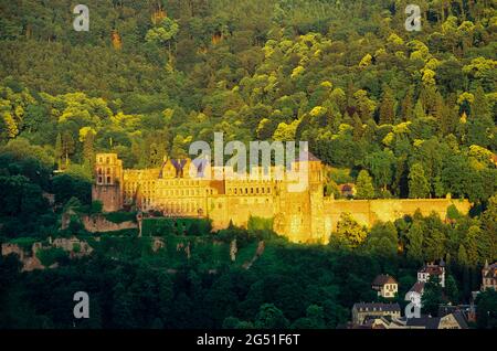 Castello di Heidelberg circondato dalla foresta, Heidelberg, Baden-Wurttemberg, Germania Foto Stock