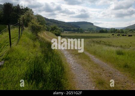L'alta valle di Wye vicino a Llangurig, Galles, Regno Unito Foto Stock