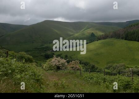 Le montagne Cambrian, Powys, Galles, Regno Unito Foto Stock