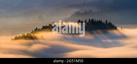 Nebbia in montagna all'alba, Pieniny, Lesser Polonia Voivodato, Polonia Foto Stock