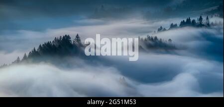 Nebbia in montagna all'alba, Pieniny, Lesser Polonia Voivodato, Polonia Foto Stock