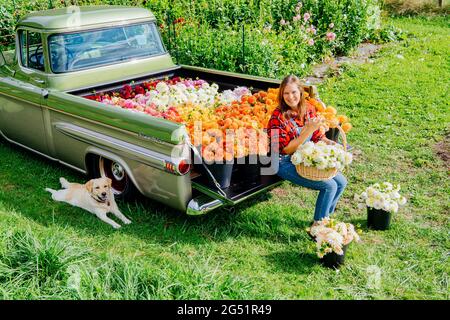 Letto di camion pieno di fiori Dahlia e donna con cesto Foto Stock