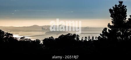 Profilo dello skyline di San Francisco in nebbia all'alba vista da Berkley, California, USA Foto Stock