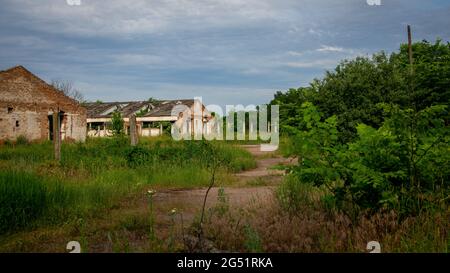 Abbandonata e rovinata vecchia fattoria con cespugli e alberi Foto Stock