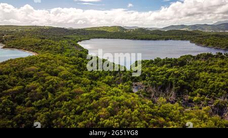 Vista ad alto angolo della laguna circondata da giungla in tropici Foto Stock