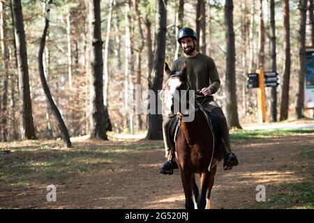 Ritratto di sicuro Jockey maschio con Cavallo in piedi sul campo Foto Stock