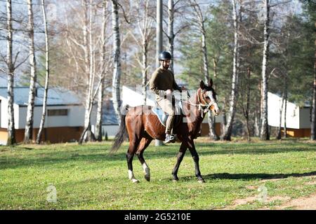 Ritratto di sicuro Jockey maschio con Cavallo in piedi sul campo Foto Stock