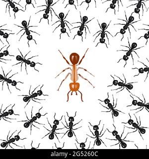 Le formiche organizzati in un gruppo lotta contro una Red ant. Concetto di unione fa la forza Illustrazione Vettoriale