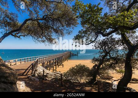 FRANCIA. VENDEE (85), ISOLA DI NOIRMOUTIER, PLAGE DES DAMES Foto Stock