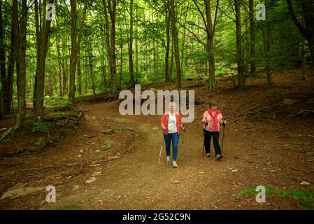 Due escursionisti che camminano attraverso la faggeta di Santa Fe de Montseny in una mattina di primavera (Barcellona, Catalogna, Spagna) Foto Stock