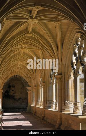 FRANCIA. DORDOGNA (24) PERIGORD NOIR REGIONE. IL CHIOSTRO DI TH ABBAZIA DI CADOUIN (XV E XVI SECOLO) Foto Stock
