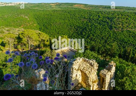 Vista della valle del torrente Yehiam dalla fortezza, nella Galilea occidentale, Israele settentrionale Foto Stock