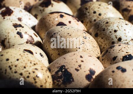 Quail uova rotazione sfondo Foto Stock
