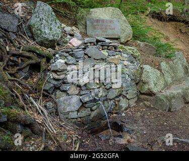 Fontana di Llops sul sentiero fino alla cima Matagalls dal passo Bordoriol (Montseny, Osona, Catalogna, Spagna) ESP: Fuente de Llops en el Matagalls Foto Stock