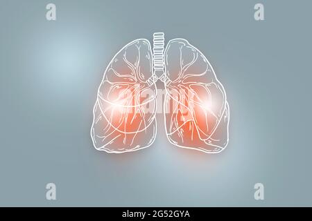 Illustrazione Handrawn dei polmoni umani su sfondo grigio chiaro. Set medico-scientifico con i principali organi umani con spazio di copia vuoto per il testo Foto Stock
