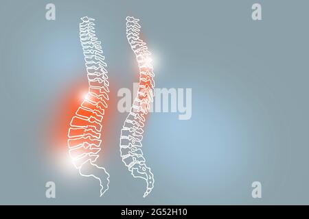 Illustrazione Handrawn della colonna umana su sfondo grigio chiaro. Set medico-scientifico con i principali organi umani con spazio di copia vuoto per il testo Foto Stock