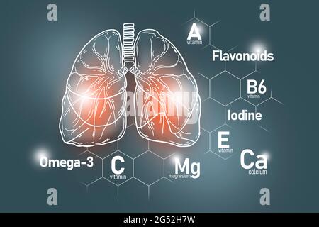 Nutrienti essenziali per la salute dei polmoni, tra cui Omega-3, flavonoidi, magnesio, iodio. Insieme di disegno dei principali organi umani con le vitamine Foto Stock