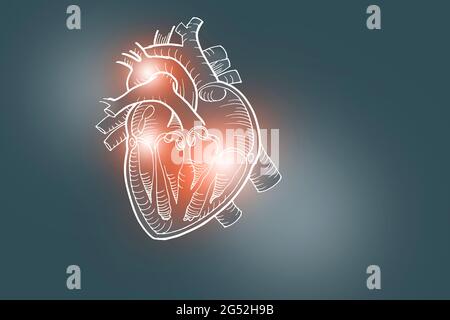 Illustrazione Handrawn del cuore umano su sfondo grigio scuro. Set medico-scientifico con i principali organi umani con spazio di copia vuoto per il testo Foto Stock