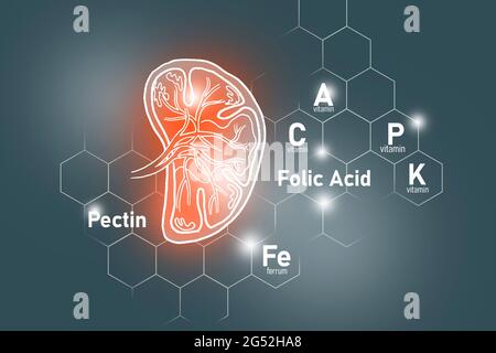 Nutrienti essenziali per la salute della milza compreso pectina, acido folico, vitamina P, Ferrum.Design insieme dei principali organi umani su sfondo grigio scuro. Foto Stock