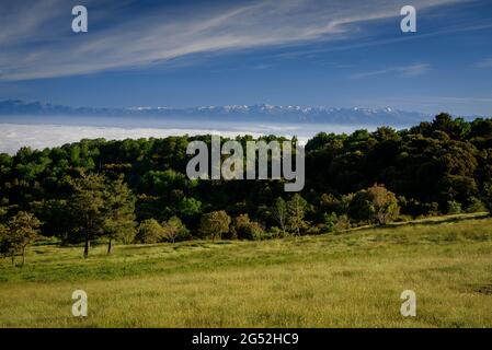 PLA de la calma, vicino al monte Tagamanent, in una mattina di primavera nel Parco Naturale di Montseny (Barcellona, Catalogna, Spagna) Foto Stock