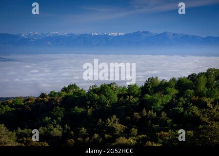 PLA de la calma, vicino al monte Tagamanent, in una mattina di primavera nel Parco Naturale di Montseny (Barcellona, Catalogna, Spagna) Foto Stock