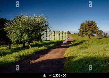 PLA de la calma, vicino al monte Tagamanent, in una mattina di primavera nel Parco Naturale di Montseny (Barcellona, Catalogna, Spagna) Foto Stock