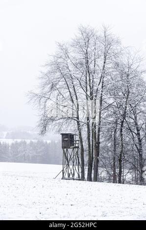Legno in rilievo nascondono in una foresta nella campagna rurale durante l'inverno in Germania Foto Stock