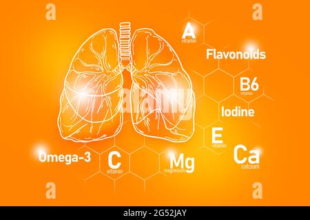 Nutrienti essenziali per la salute dei polmoni, tra cui Omega-3, flavonoidi, magnesio, iodio. Insieme di disegno dei principali organi umani con le vitamine Foto Stock