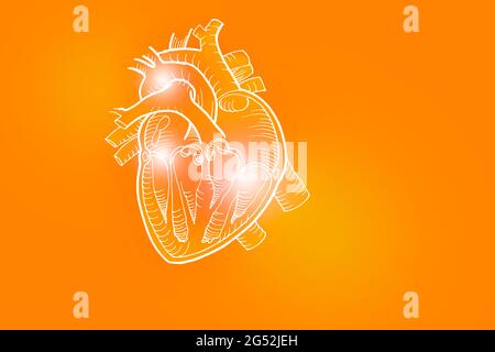 Handrawn illustrazione del cuore umano su sfondo arancione positivo. Set medico-scientifico con i principali organi umani con spazio di copia vuoto per il testo Foto Stock