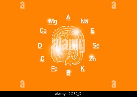 Clockface stilizzato con vitamine essenziali e microelementi per la salute umana, intestino disegnato a mano, sfondo arancione. Foto Stock