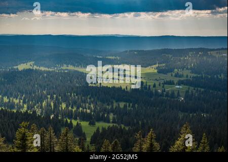 Paesaggio collinare del giura vaudoise vicino al col de Marchairuz Foto Stock