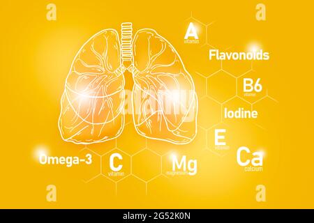 Nutrienti essenziali per la salute dei polmoni, tra cui Omega-3, flavonoidi, magnesio, iodio. Insieme di disegno dei principali organi umani con le vitamine Foto Stock