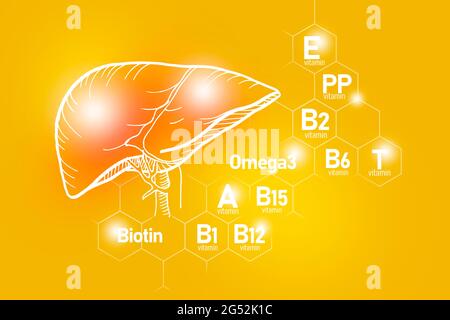 Elementi nutritivi essenziali per la salute del fegato, tra cui Omega-3, carnitina, biotina, vitamina PP, vitamina B. Design insieme di principali organi umani con vitamine Foto Stock