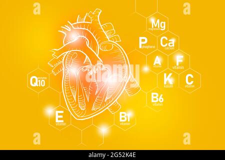 Nutrienti essenziali per la salute del cuore compreso Q10, calcio, magnesio, vitamina F. Design insieme dei principali organi umani con vitamine Foto Stock