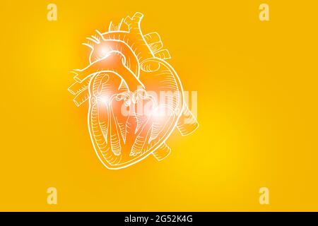 Handrawn illustrazione del cuore umano su sfondo giallo. Set medico-scientifico con i principali organi umani con spazio di copia vuoto per testo o infografica. Foto Stock