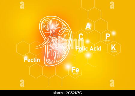 Nutrienti essenziali per la salute della milza compreso pectina, acido folico, vitamina P, Ferrum.Design insieme dei principali organi umani su sfondo giallo. Foto Stock