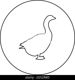 Oca Gosling Geese Anser Gander silhouette in cerchio tondo nero colore vettore illustrazione contorno contorno stile immagine semplice Illustrazione Vettoriale