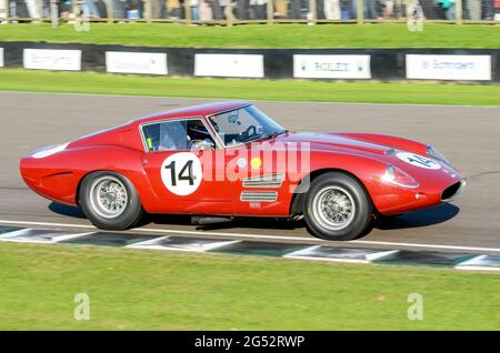 Classic Ferrari 250 GT Drogo Berlinetta gara auto a Goodwood Revival 2011, Regno Unito. Guidato da Bartels e Hart in lunga distanza RAC Tourist Trophy Foto Stock