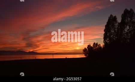 Gli alberi si stagliano al tramonto sul lago di Costanza, in Austria Foto Stock