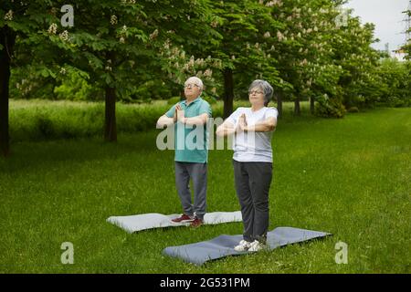 Uomo anziano e donna che fanno esercizio di fitness o pratica di yoga in un verde parco estivo Foto Stock