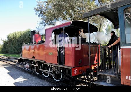 FRANCIA, SOMME (80) COTE D'OPALE E BAIE DE SOMME, LE CROTOY, LA FERROVIA A SCARTAMENTO RIDOTTO DELLA BAIA DI SOMME O CHEMIN DE FER DE LA BAIE DE SOMME AL TERMINE Foto Stock