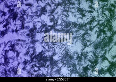 cute blu vecchio capelli-come struttura spazzolata tavolo - sfondo astratto foto Foto Stock